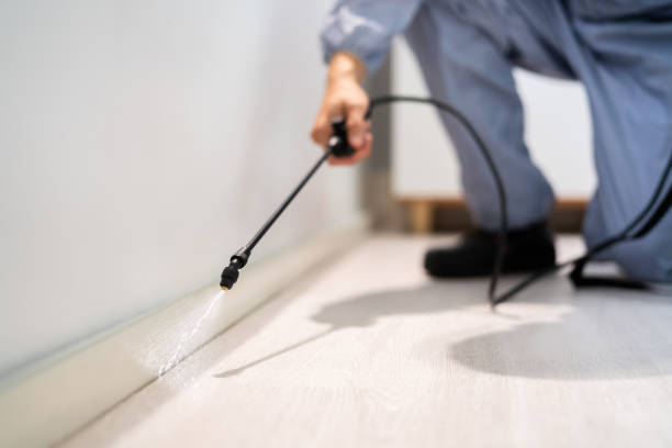 Licensed Rodent Control service in Elmendorf, TX - Nex Pest Control