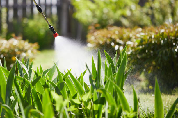 24/7 Emergency Rodent Control experts in Elmendorf, TX