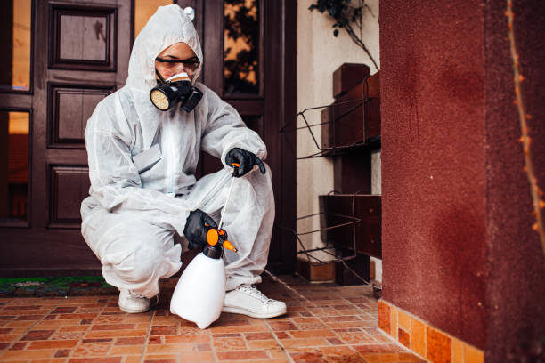 Reliable Rodent Control contractor in Elmendorf, TX by Nex Pest Control